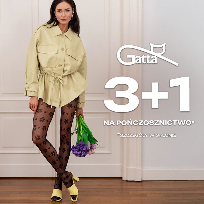 promocja gatta