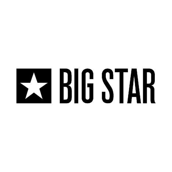 logo big star